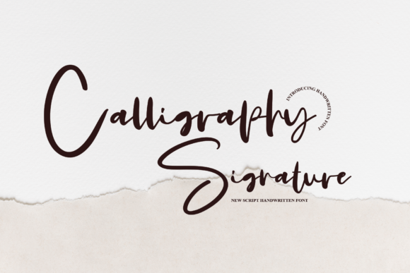 Calligraphy Signature: Elevating Web Design with Modern Script Typography