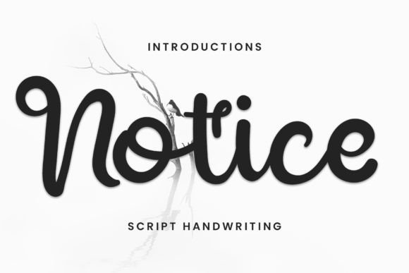 Notice: A Handwritten Typeface That Brings Digital Warmth to Web Design