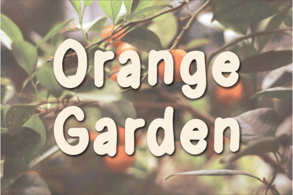 Orange Garden: The Perfect Handwritten Font for Crafters and Sellers