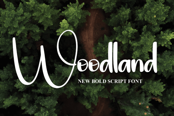 Woodland: A Bold Display Font for Impactful Web Headlines