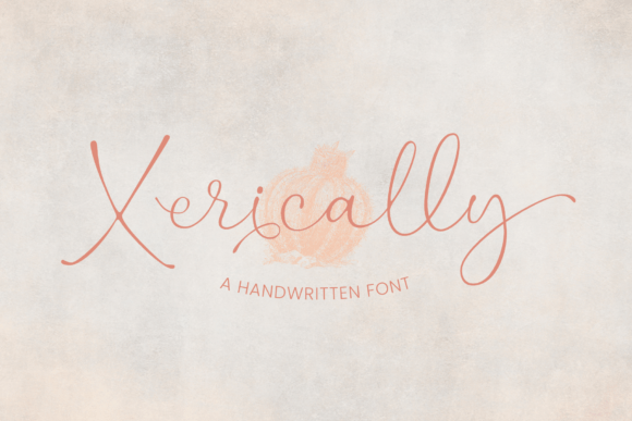 Xerically: A Designer’s Real-World Script Amp Review